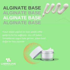 Alg Base Maker