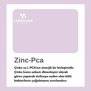 Zinc Pca