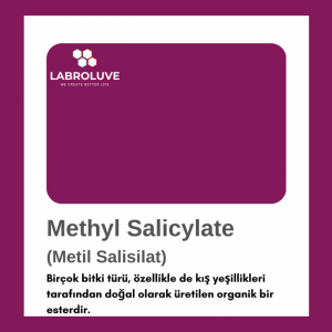Methyl Salicylate (Metil Salisilat)