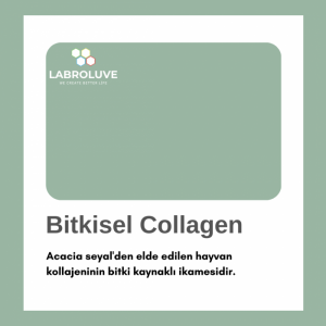 Bitkisel Collagen