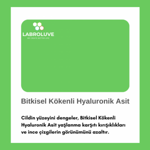 Bitkisel Kökenli Hyaluronik Asit