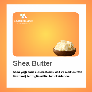 Shea Butter