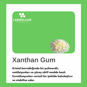 Labroluve® Xgn