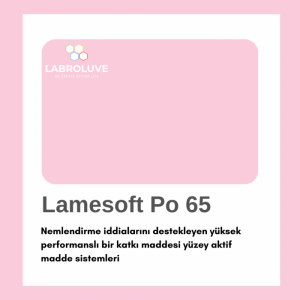 Lamesoft Po 65