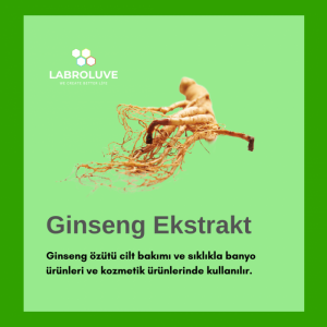 Ginseng Ekstrakt