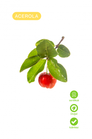 Acerola Ekstresi