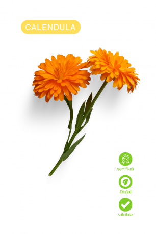 Calendula(Aynı Sefa) Ekstresi