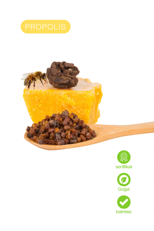 Propolis Ekstresi