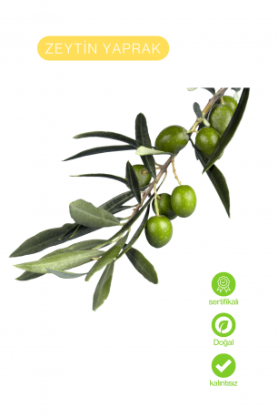 Zeytin Yaprağı Ekstresi