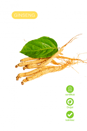 Ginseng Ekstrakt