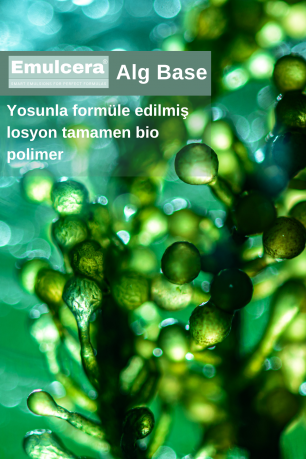 Alg Base Maker - Yosun Base
