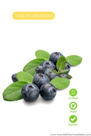 Yaban Mersini Ekstresi